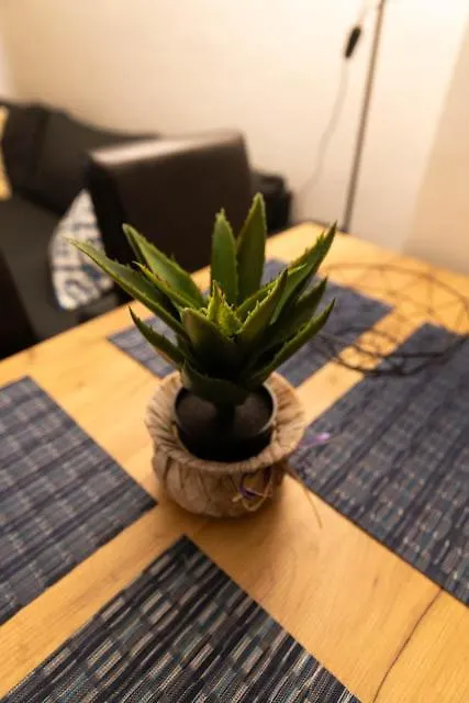 Lovely 1Bd Flat Near The Sea Garden By Flat Mаnаger Burgas Apartment